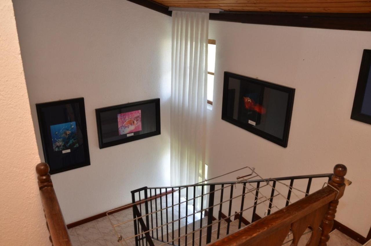 Vila Delfin Ohrid Exterior photo