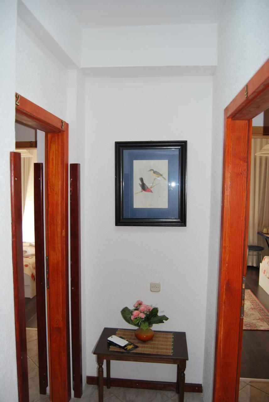 Vila Delfin Ohrid Exterior photo